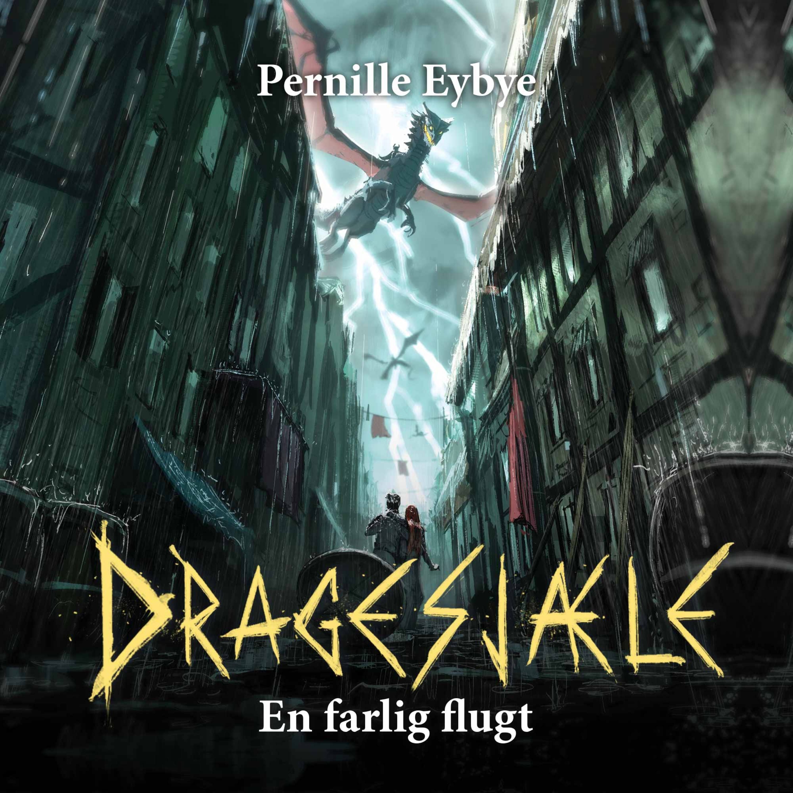 Forside billede